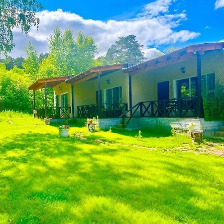 Private Bed & Breakfast Shchūchīnsk Dış mekan fotoğraf